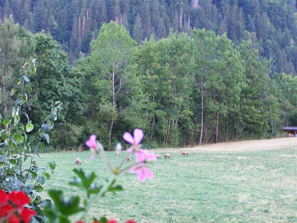 La Grange de mon Père