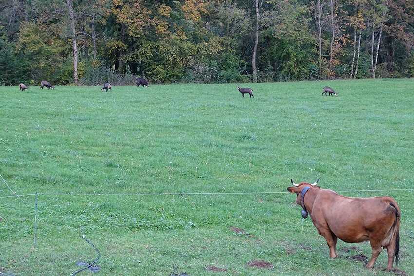 Table d'hôtes La Grange de mon Père