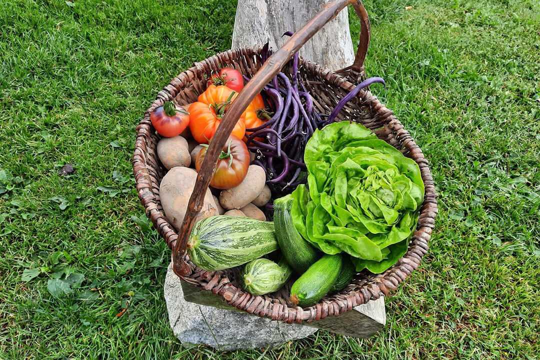 Table d'hôtes La Grange de mon Père
